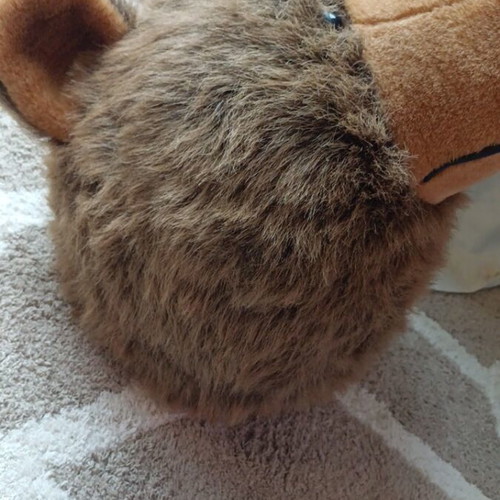 Decorative wall bear like new with furry texture