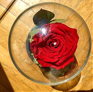 Τριαντάφυλλο σε γυάλα