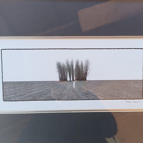 Eight photographic works by Dimitris Sofikitis used with frame