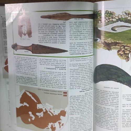 Gnorizo Encyclopedia 13 Volumes New