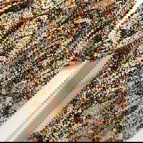 Дамска блуза туника от Германия като ново, размер L