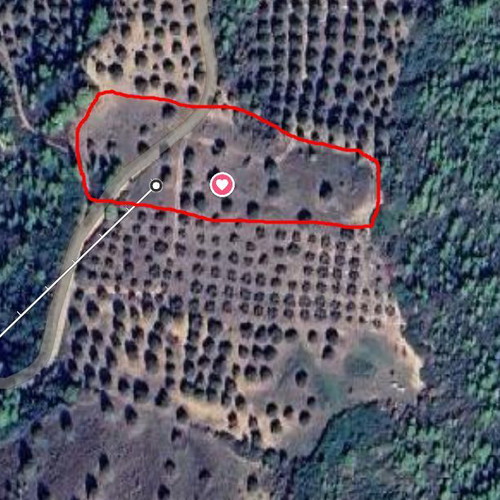 Agricultural land 9,717 m² in Rachi Nea Skioni, buildable