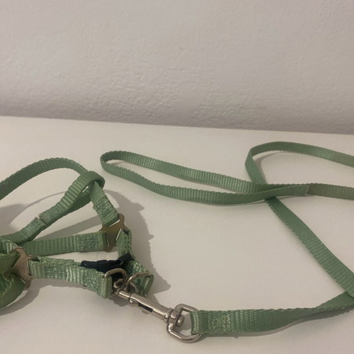 Cat/Small Dog Harness used