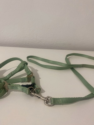 Cat/Small Dog Harness used