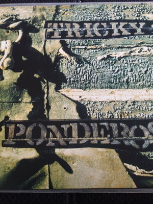 Tricky Ponderosa 12" single like new, electronic music