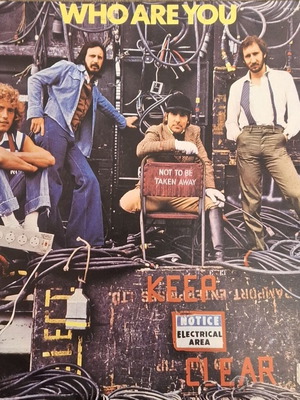 The Who Who Are You vinyl like new, rock