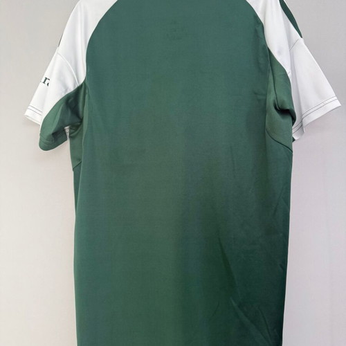 Panathinaikos 2025-26 football jersey, medium, official replica