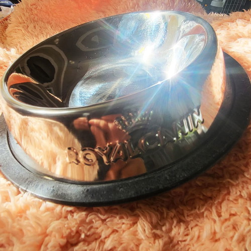 Metal cat or small dog bowl new, 13.5 cm diameter