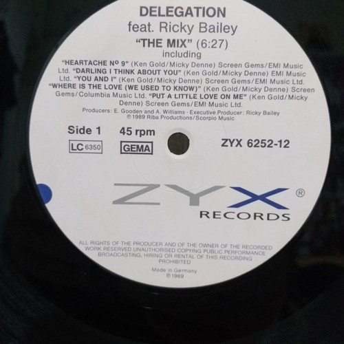 Delegation Feat. Ricky Bailey The Mix vinyl single used, 1989, Germany