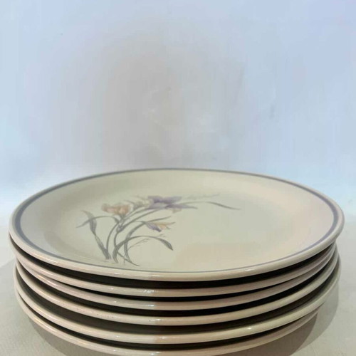 Stone Ware plate set of 6 used, vintage, 26.5cm, made in China
