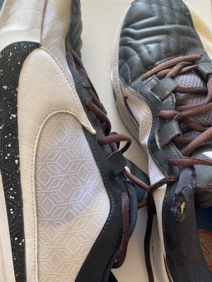 Nike μπασκετικά παπούτσια Γιάννη Αντετοκούμπο μεταχειρισμένα, νούμερο 44