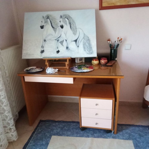 Furniture for students and teenagers