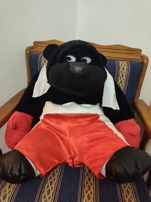 Boxer bear plush toy, large