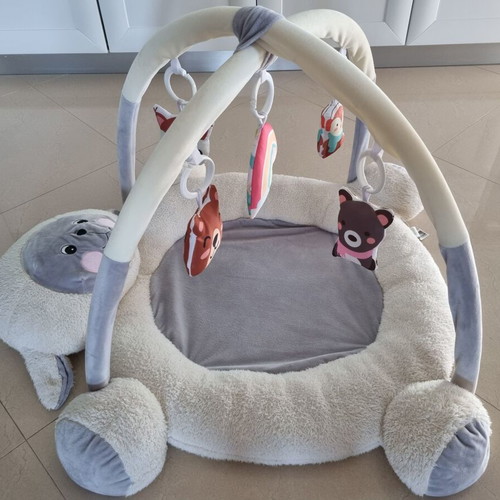 Lorelli Mary Activity Gym like new for 3+ months