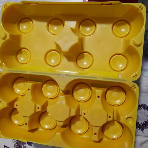 Eggyplay egg holder new, set of 24 pieces with 8 soft eggs