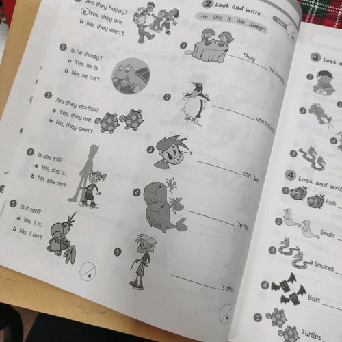 Smart Junior A & B Test Booklet like new, English