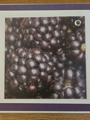 Greeting card 3D with blackberries, new