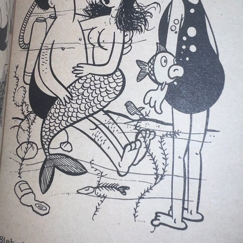 Comic book used with 66 erotic cartoons and handwritten translation