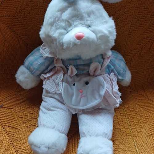 Plush rabbit used