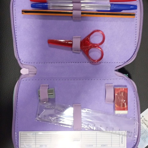 Frozen triple pencil case new, filled