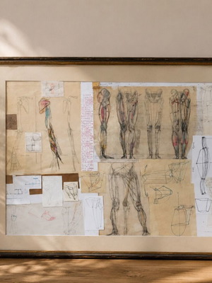 Anatomical Study Board by Efthymios Kollias used, vintage art