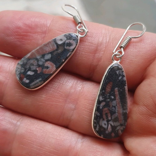 Fossil Crinoid Earrings Silver Plated 925 New Handmade