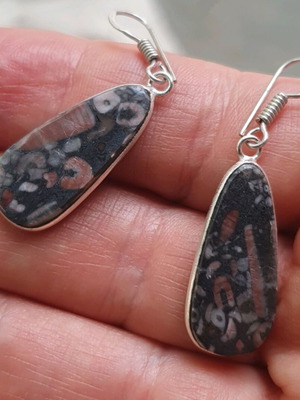 Fossil Crinoid Earrings Silver Plated 925 New Handmade