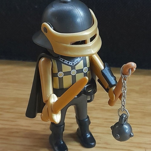 Playmobil 4602 special used