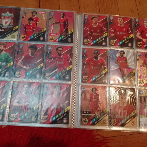 Panini FIFA 365 Adrenalyn XL 2024 album used