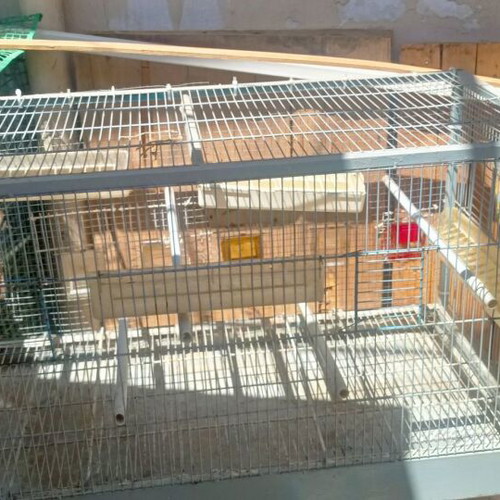 Large bird cage like new with 6 external feeders and 4 waterers