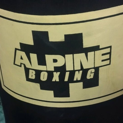 Box Alpine punching bag 1.35m like new with heavy-duty chain