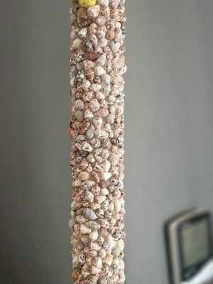 Decorative sea shell bar with hanging ring like new