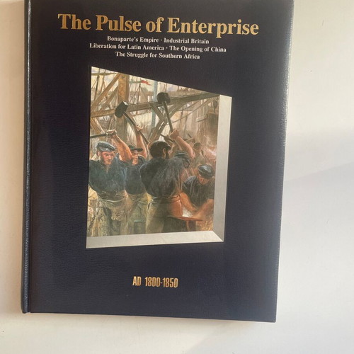 Book The Pulse of Enterprise like new, English