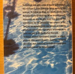 Less Than Zero book like new