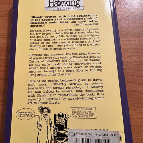 Book Stephen Hawking for beginners like new, English