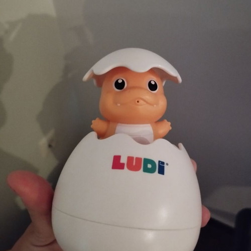 Ludi water toy in excellent condition
