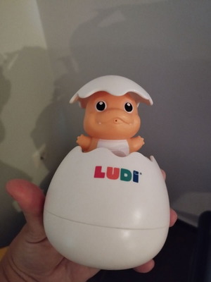 Ludi water toy in excellent condition