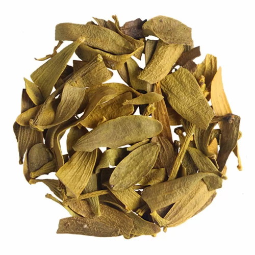 Viscum Mistletoe Cut Plant New From Hungary