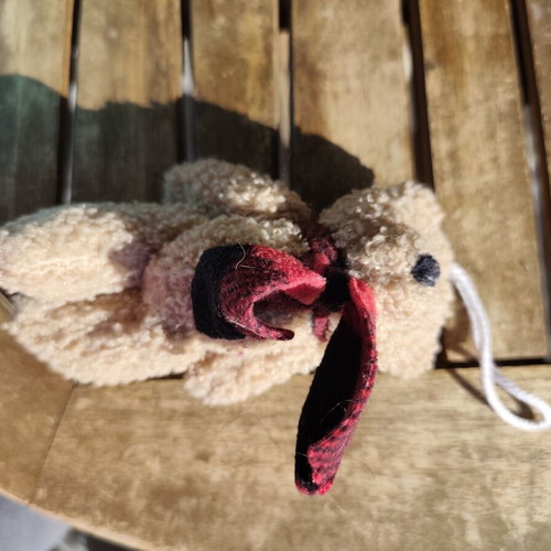 Dog toys used, assorted set