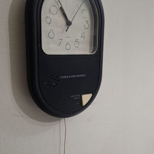 Twin Bird Clock & Voice Message wall clock like new, 1980s vintage