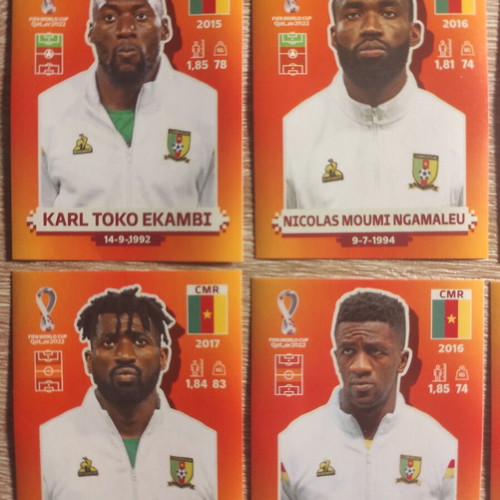 Panini World Cup Qatar 2022 Cameroon stickers, set of 12