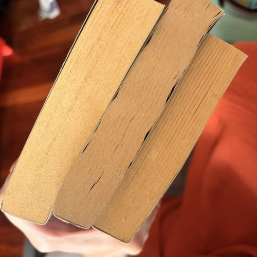 Maze Runner trilogy used, English