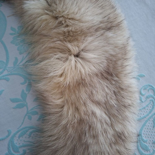 Fox fur collar new, beige, 120x20 cm