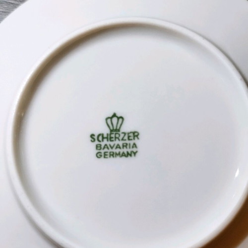 Scherzer Bavaria Germany tea set for 11 people, like new