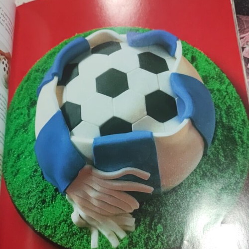 Carol Deacon's Party Cakes book like new with 45 cake designs