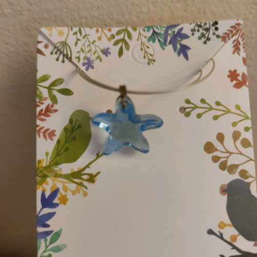 Star necklace used
