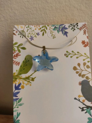 Star necklace used