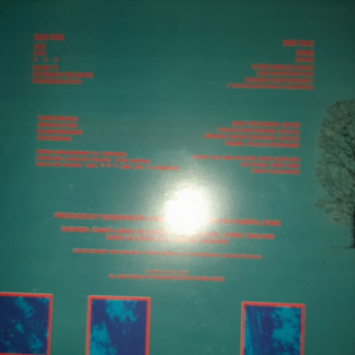 Tuxedomoon Desire vinyl record used, rock