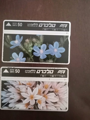 Israel telecards used, pack of 2