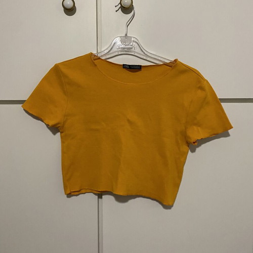 Zara summer orange crop top